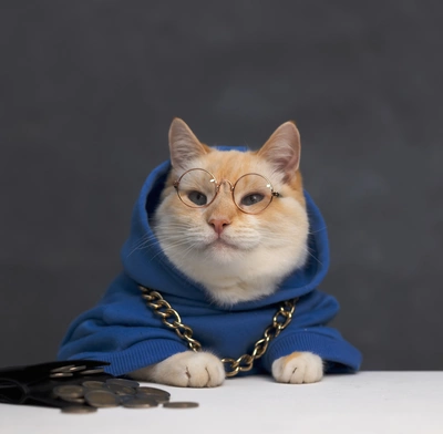 Memecoin