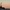 Statue of Liberty at sunset
